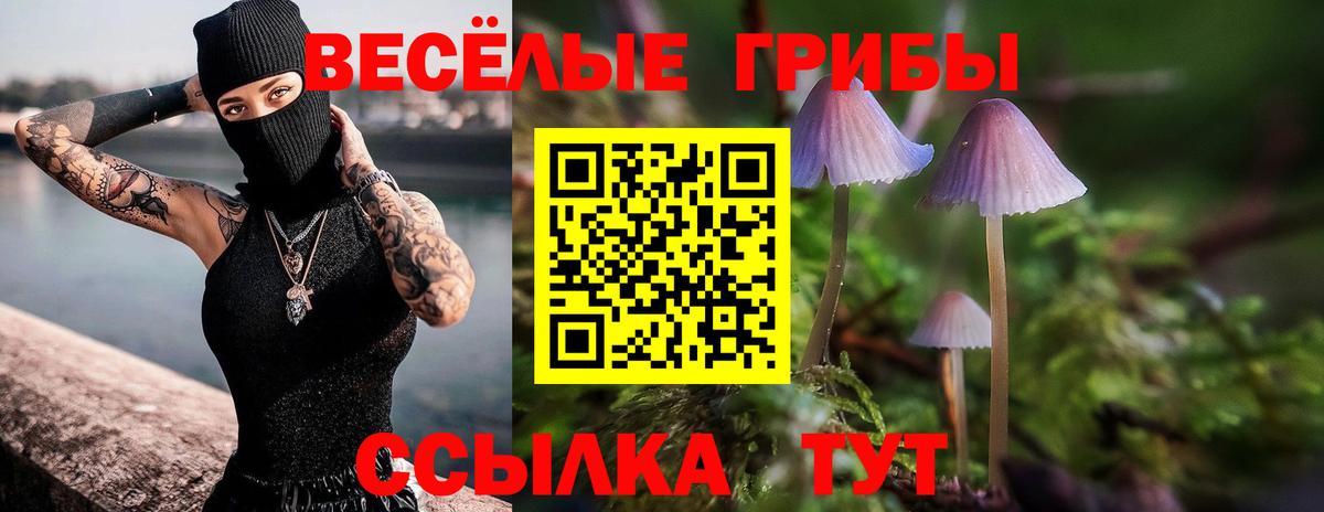 Псилоцибиновые грибы ЛСД Волжский