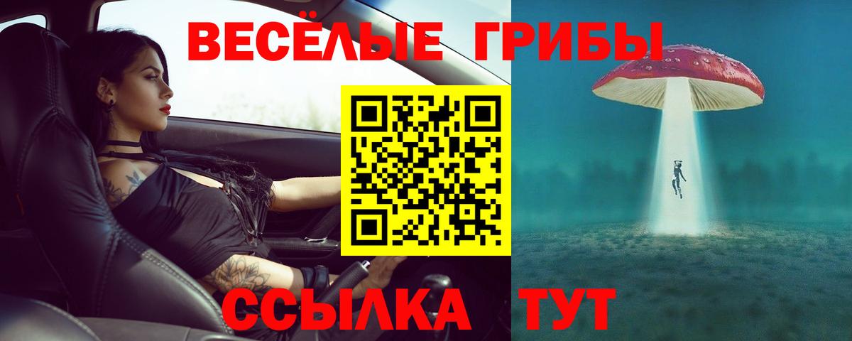 наркота  Вход с VPN  Волжский  Псилоцибиновые грибы прущие грибы 